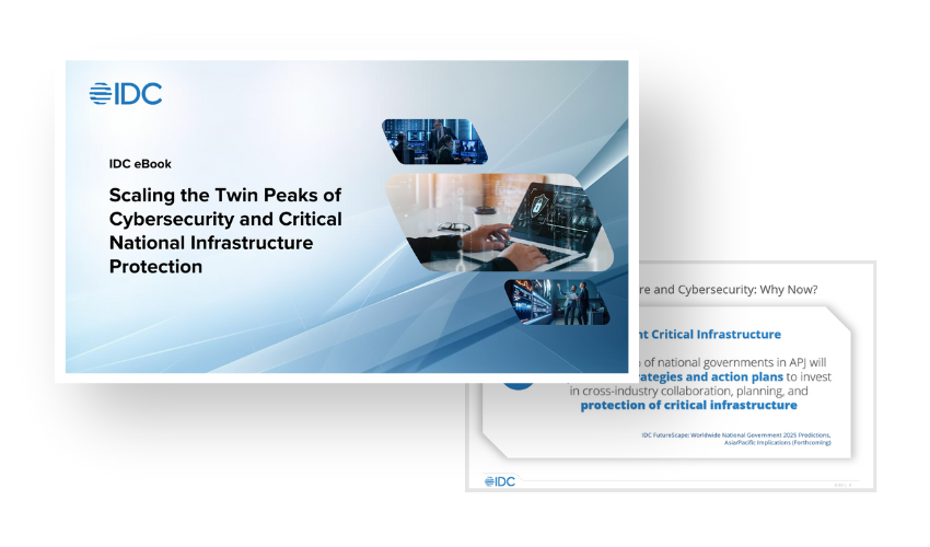 Scaling the Twin Peaks of Cybersecurity and Critical National Infrastructure Protection