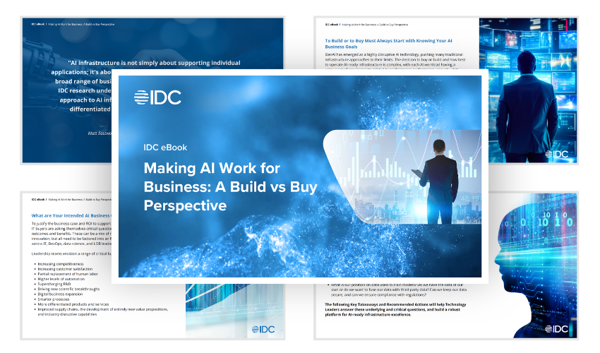 Preview of eBook, Making AI Work for Business: A Build vs Buy Perspective